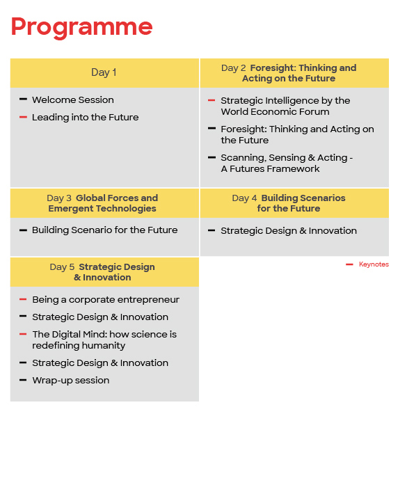 Programme Futures Strategic Design Innovation En