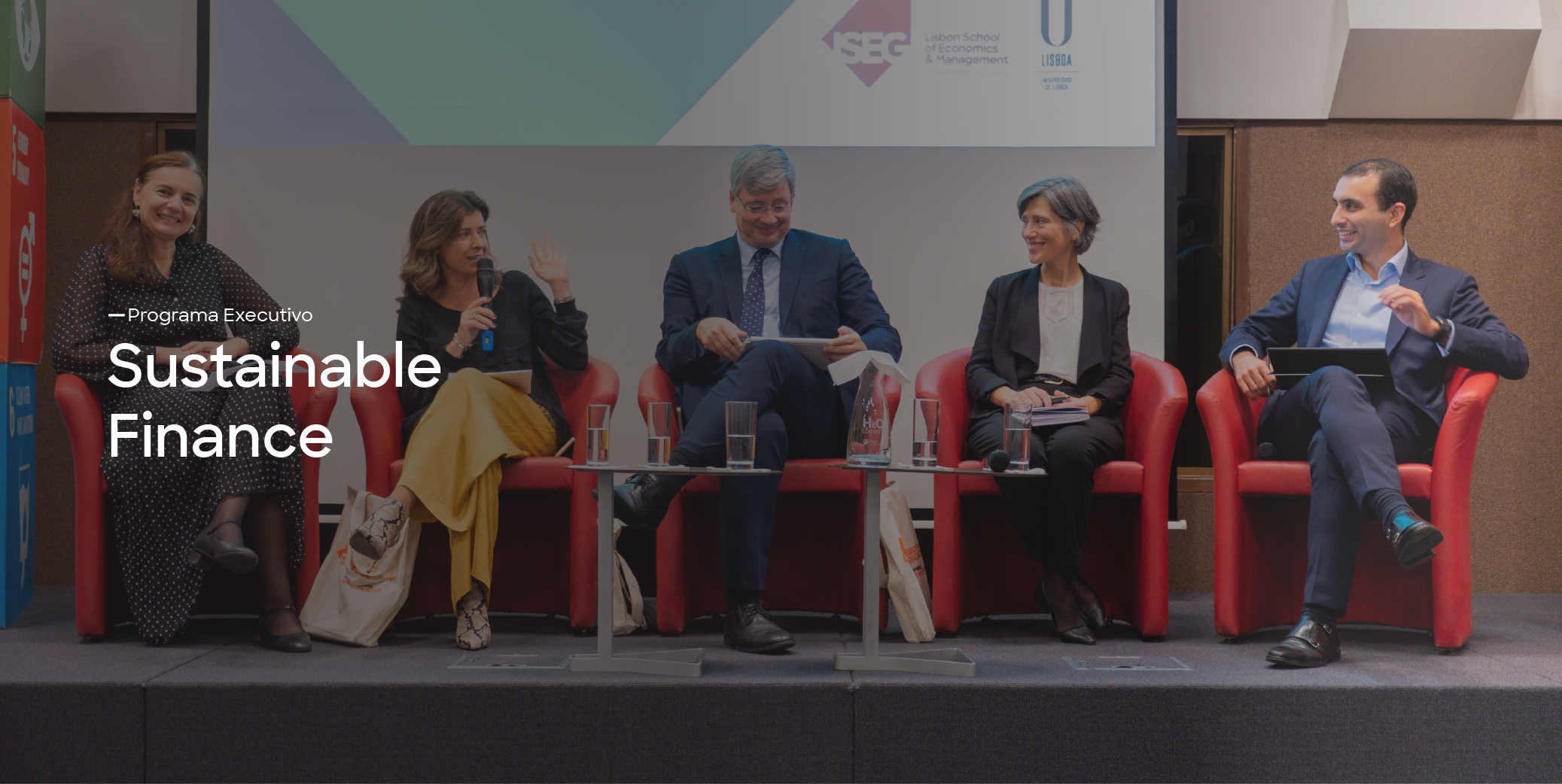 Executivo Sustainable