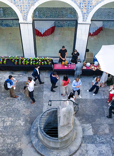 Networking Peer Feedback